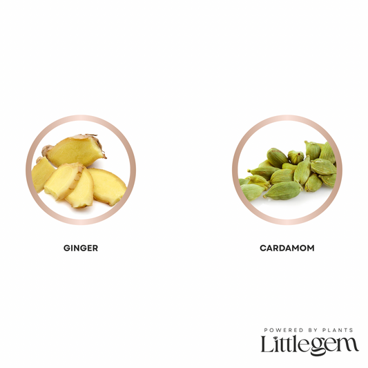 Ginger gifted hand & body wash