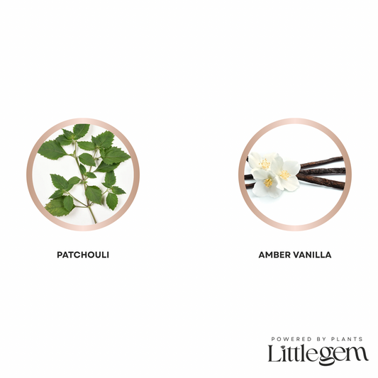 Vanilla vedette hand & body wash