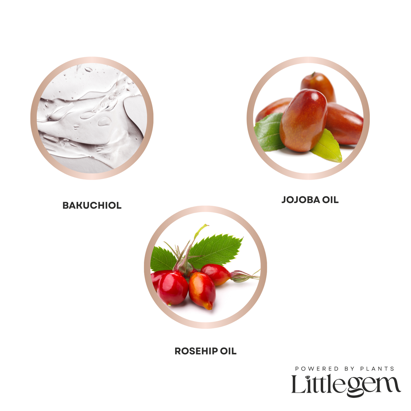 Dreamy glow discipline oil
